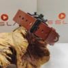 Teslar TW031 Quantum Technology Chronograph (EMF Shield)